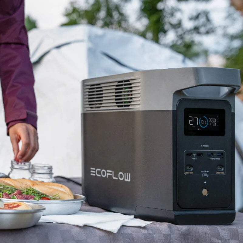 EcoFlow DELTA 2